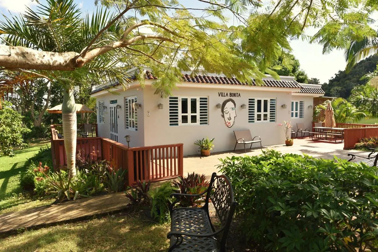 Luxury Villa Bonita Sleep 50 + Isabela 0*,  Puerto Rico