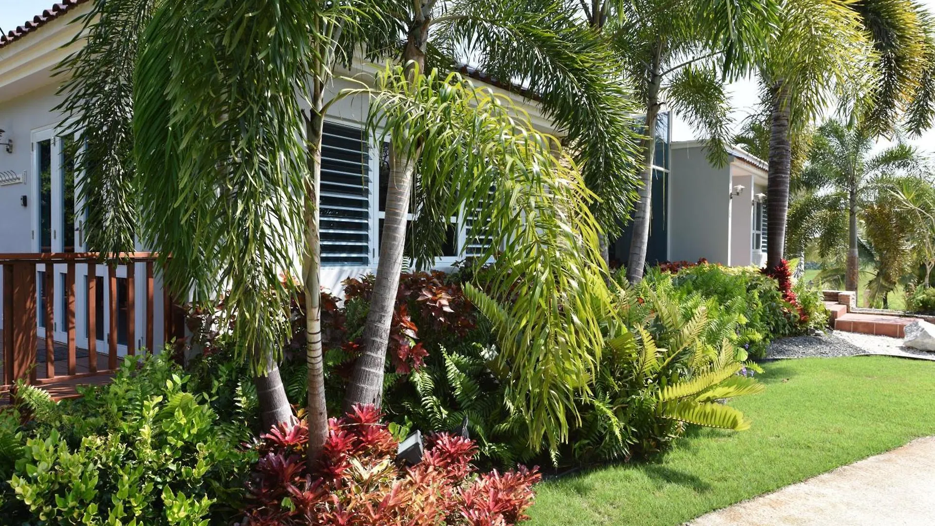 Luxury Villa Bonita Sleep 50 + Isabela
