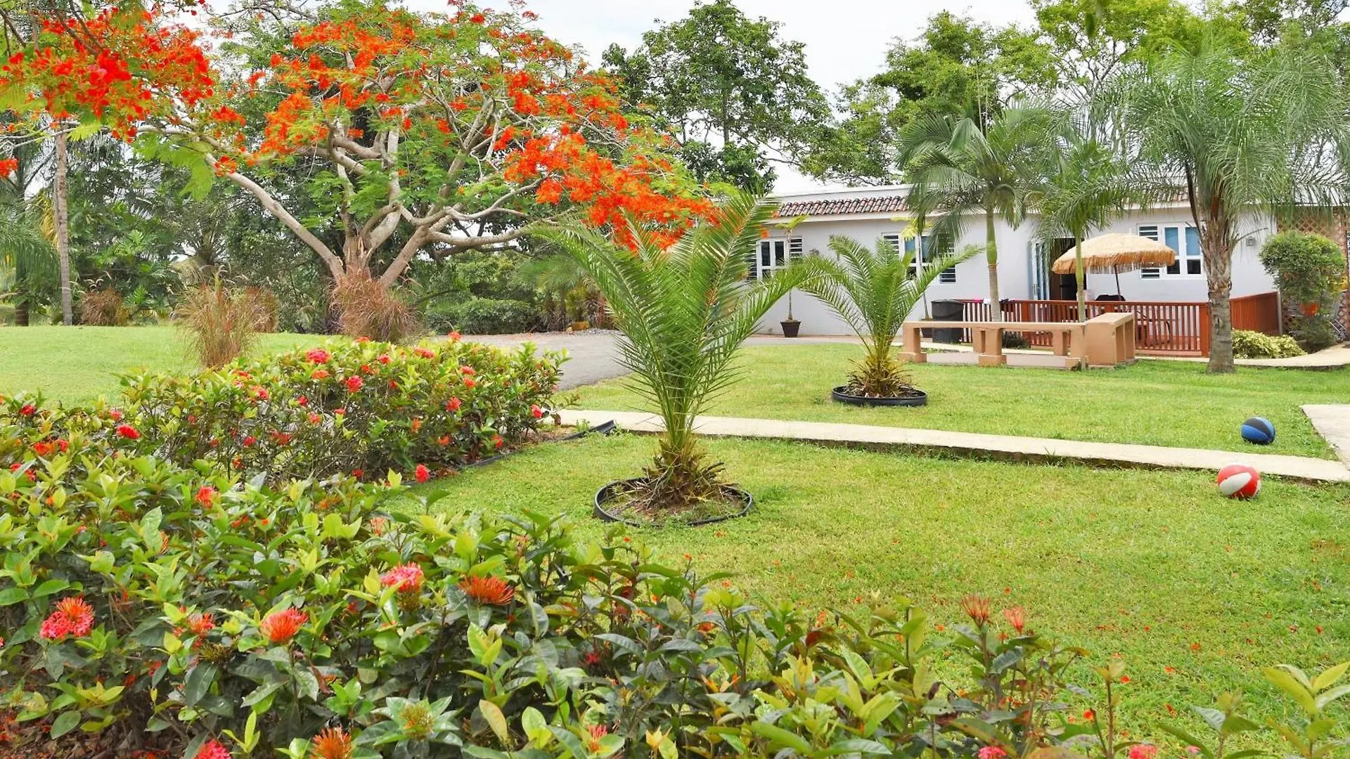 Luxury Villa Bonita Sleep 50 + Isabela Puerto Rico